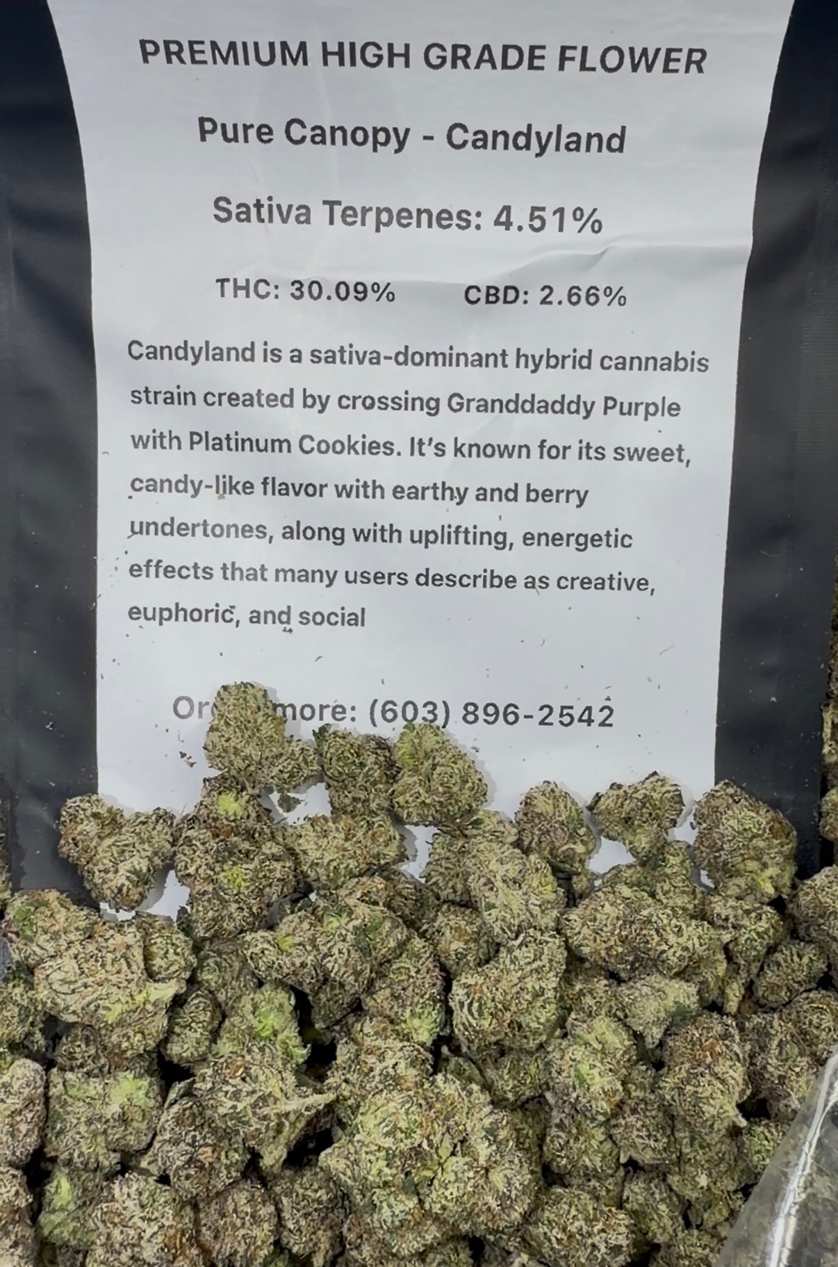 Candyland